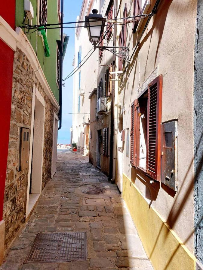 Terra Piran