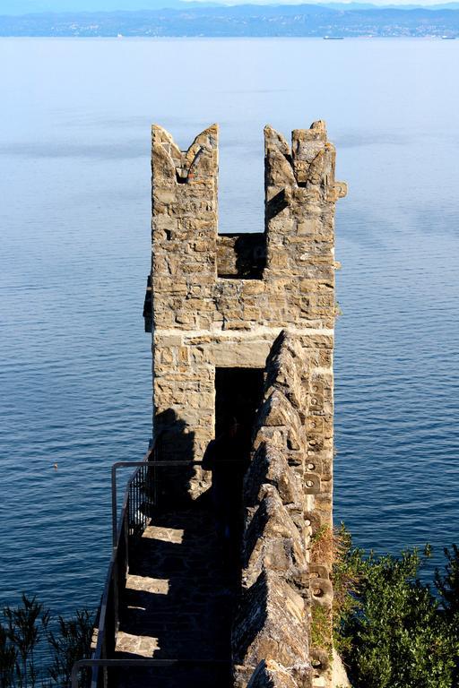 Terra Piran