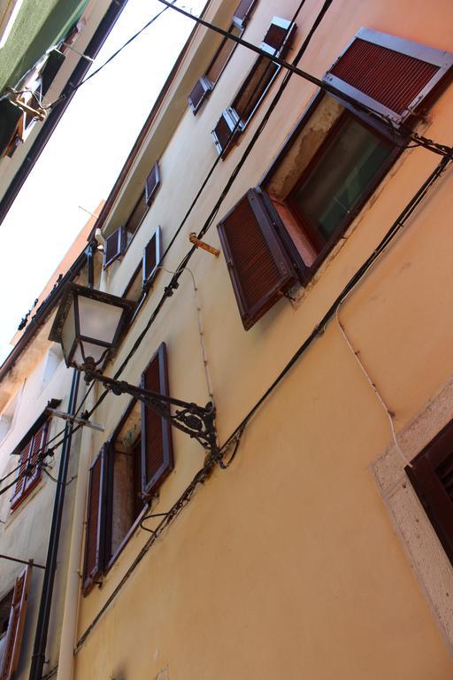 Apartment Terra